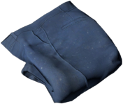 Breeches_Blue.png