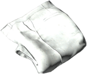 Breeches_White.png