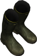Wellies_Green.png